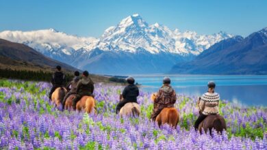 What young travellers prioritise in 2025: Travel Weekly Asia