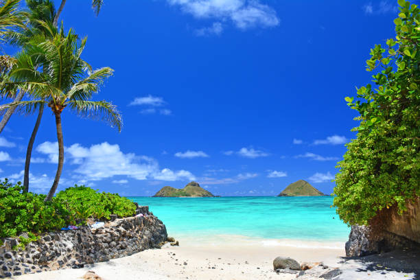 Best Beaches In Oahu -