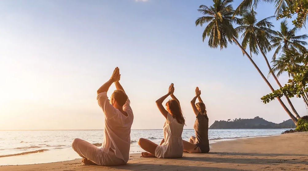 Wellness Tourism Market Size, Share, Trends - Tadbirgostar Barin Company